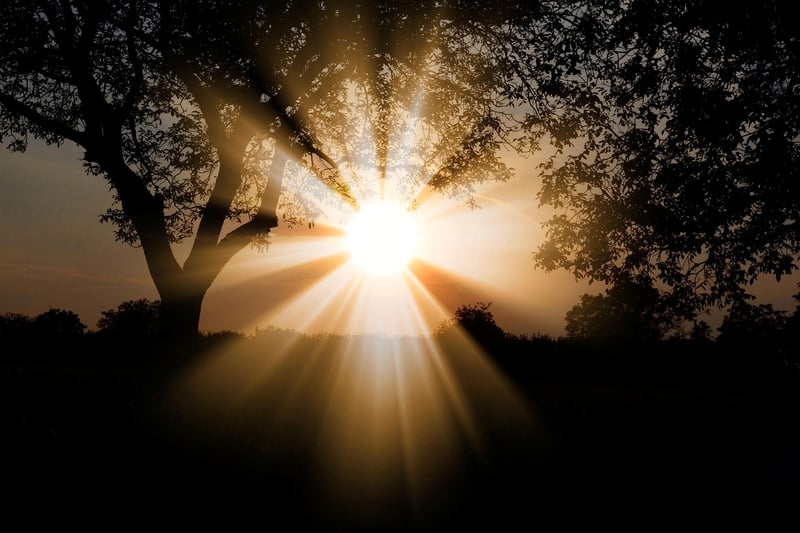Sunbeam Elegance